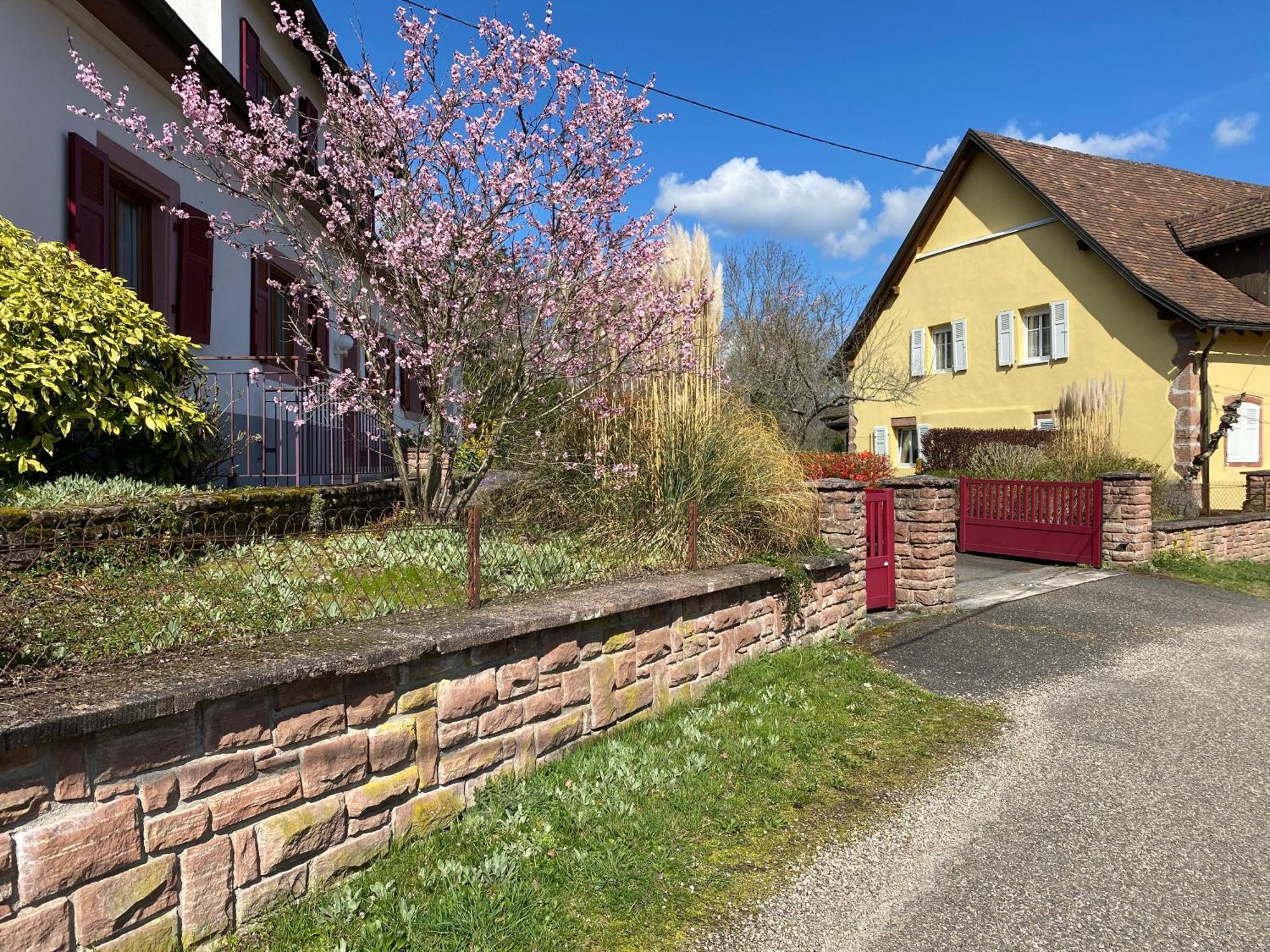 Les Roches Des Fees Villa Dieffenbach-au-Val Exterior photo