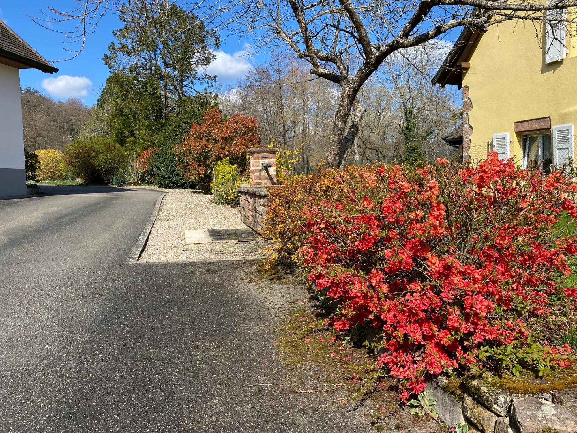 Les Roches Des Fees Villa Dieffenbach-au-Val Exterior photo