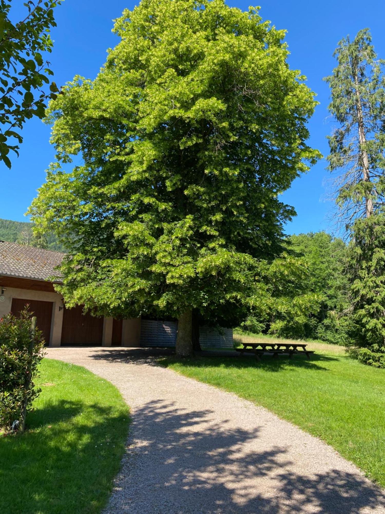 Les Roches Des Fees Villa Dieffenbach-au-Val Exterior photo