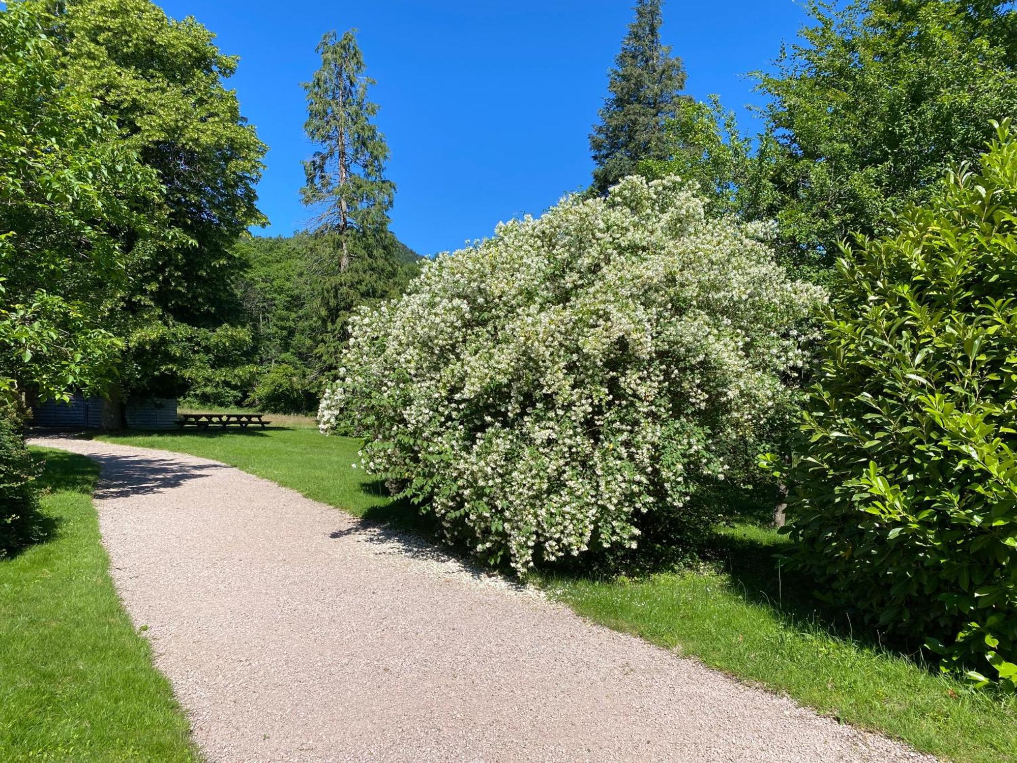 Les Roches Des Fees Villa Dieffenbach-au-Val Exterior photo