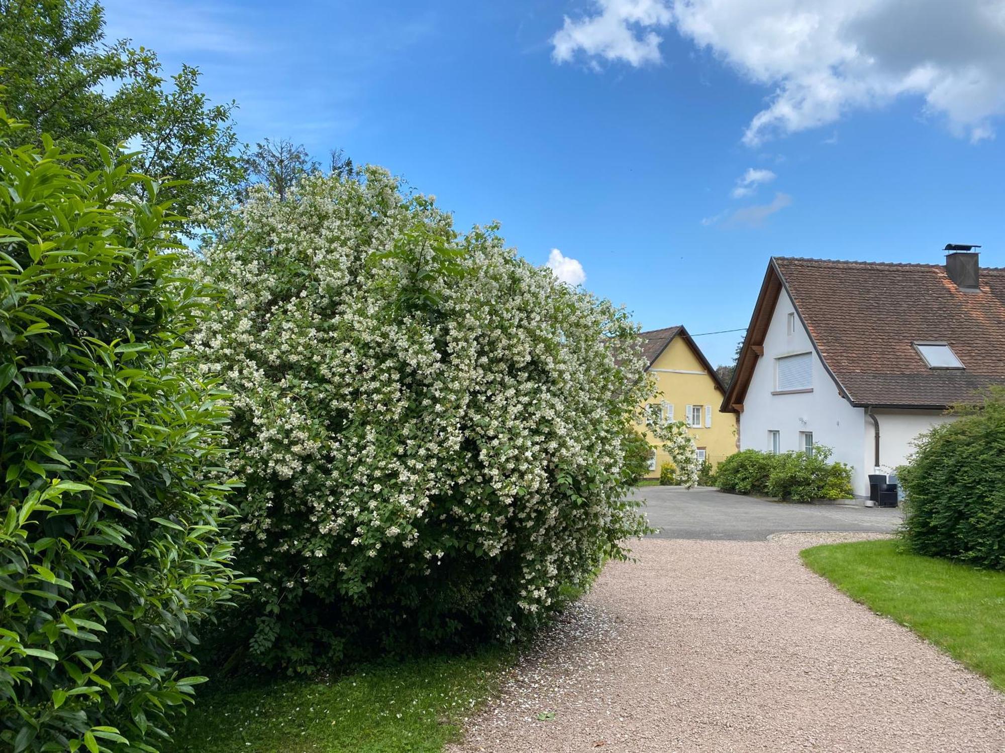 Les Roches Des Fees Villa Dieffenbach-au-Val Exterior photo